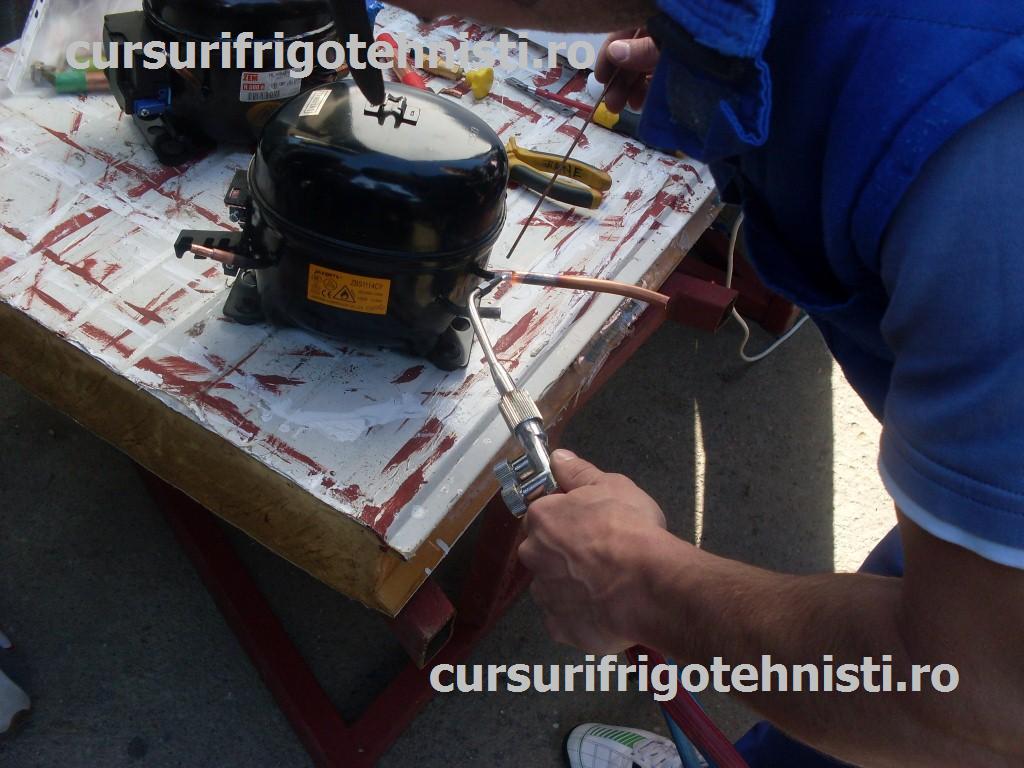 SDC10942 (Custom).JPG