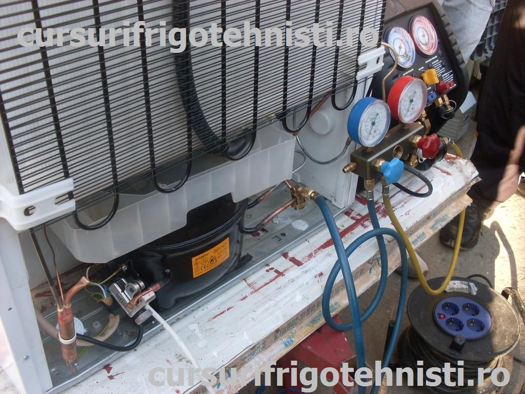 SDC10927 (Custom).JPG