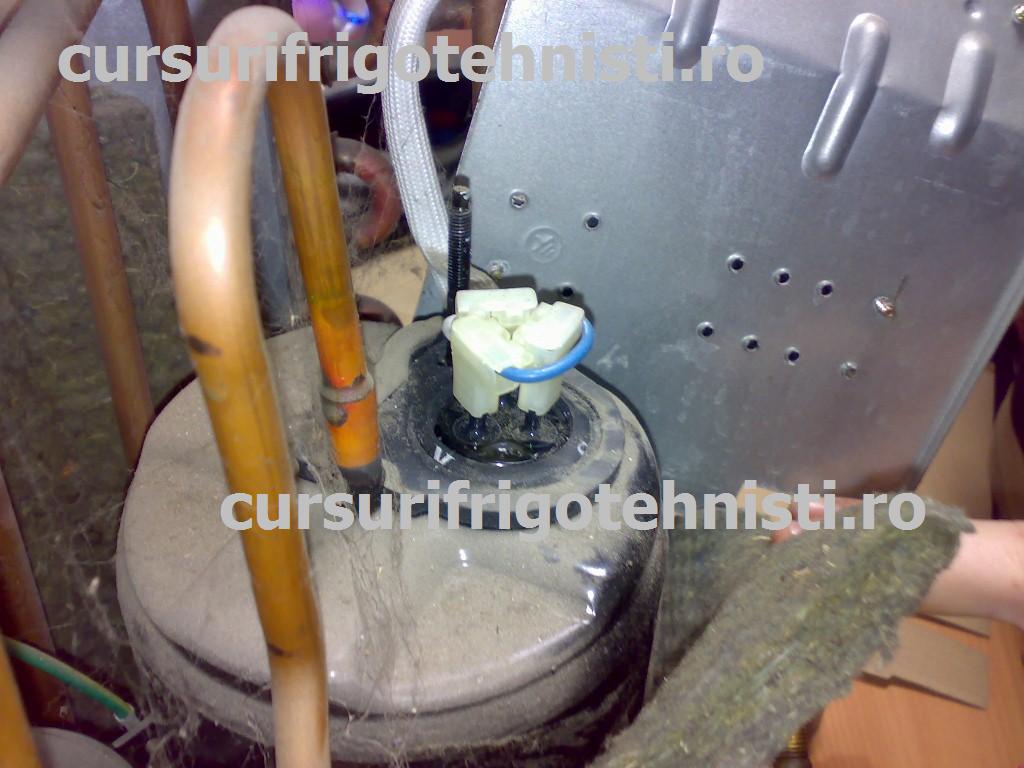 06102013204 (Custom).jpg