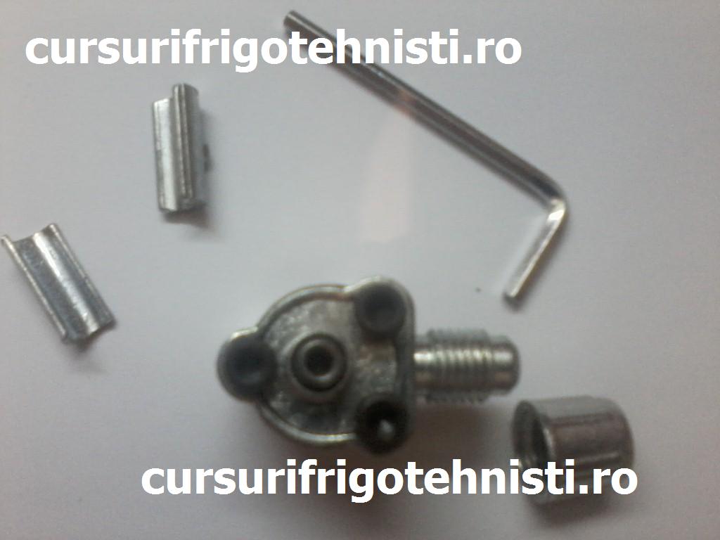 P19-07-15_18.45 (Custom).jpg