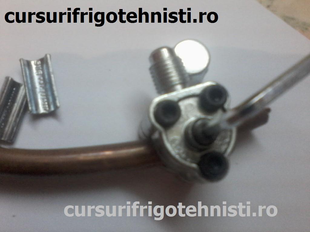 P19-07-15_18.50[01] (Custom) (2).jpg