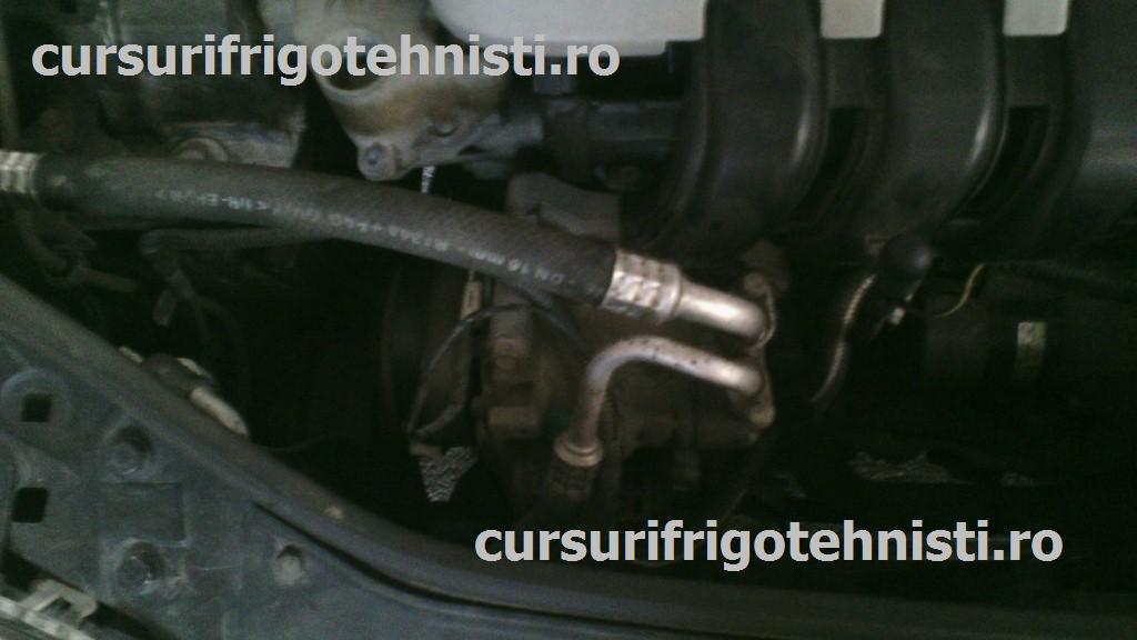 2dazrpj3 (Custom).jpg