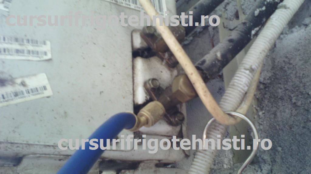 Valva de joasa (Custom).jpg