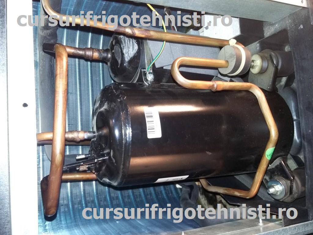 20150729_184049 (Custom).jpg