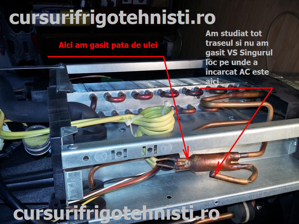 20150729_184040 (Custom).jpg