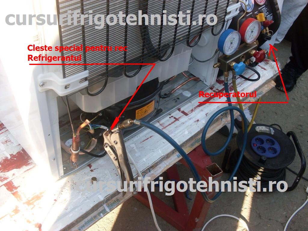 Cleste recuperare.JPG