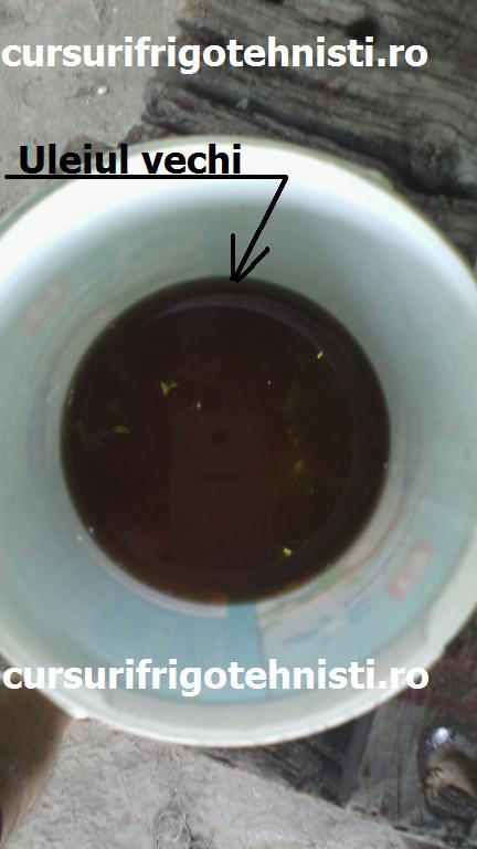 Ulei R12 (Custom).jpg