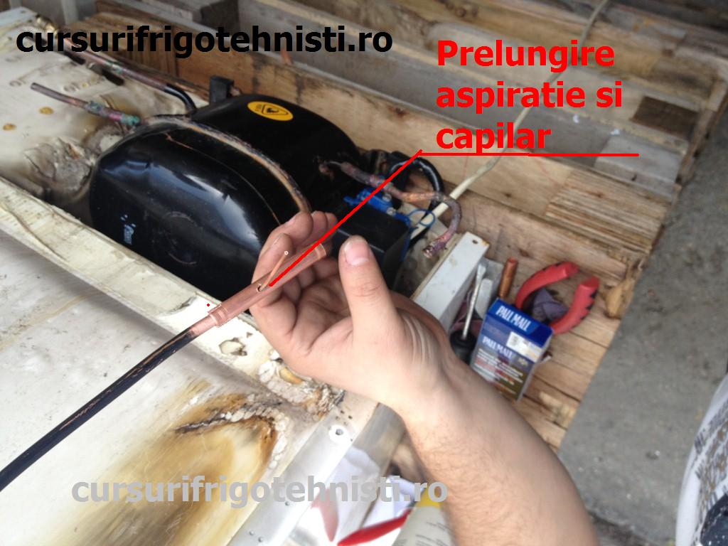 IMG_2021 (Custom).jpg