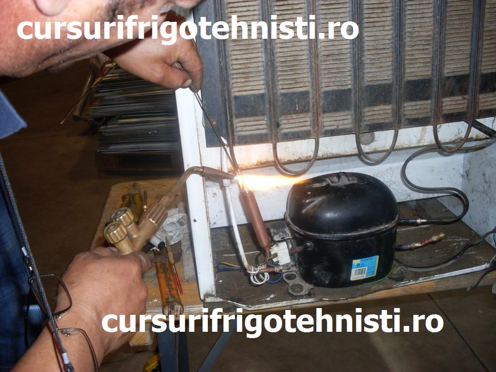 argintare Florin.jpg