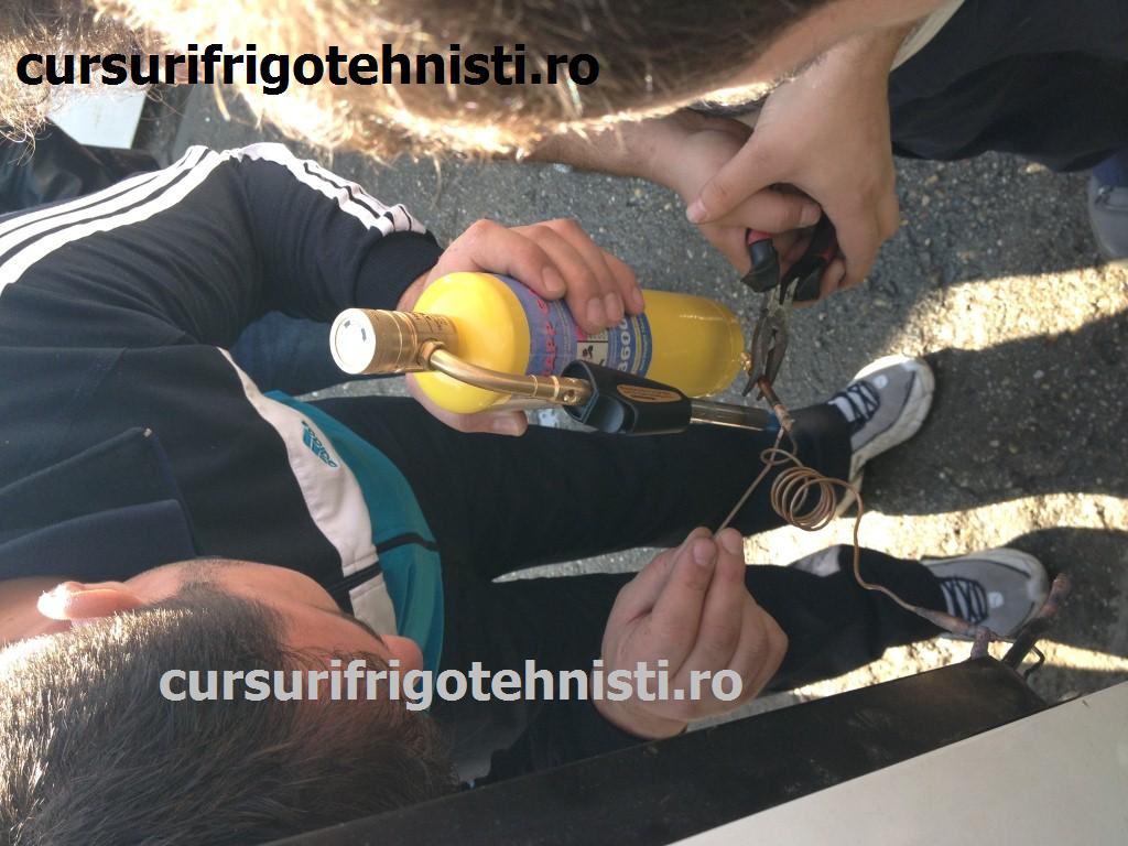 Argintare VS capilar.JPG