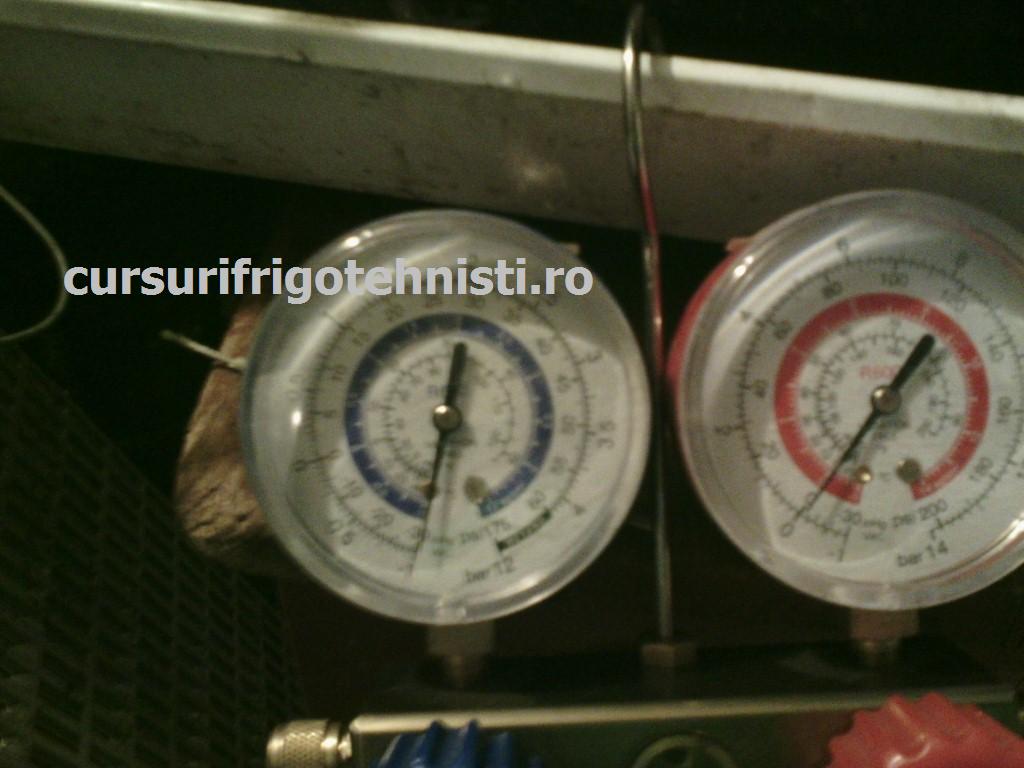 1zvfl1e (Custom).jpg