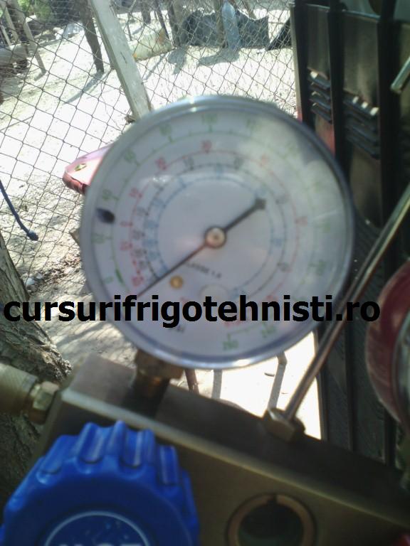 Manom in -1 Bari (Custom).jpg