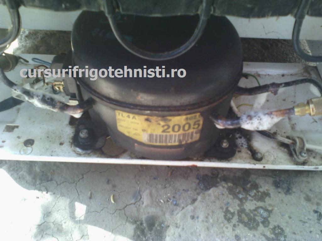 TL 4a noul comp (Custom).jpg