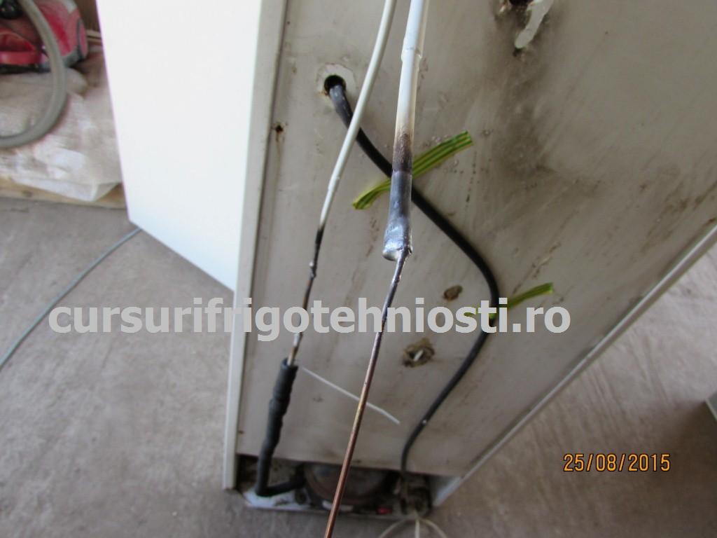 Capilar 6 (Custom).JPG