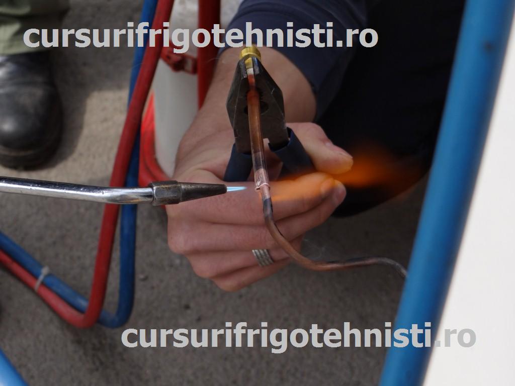 argintare buzunar.JPG