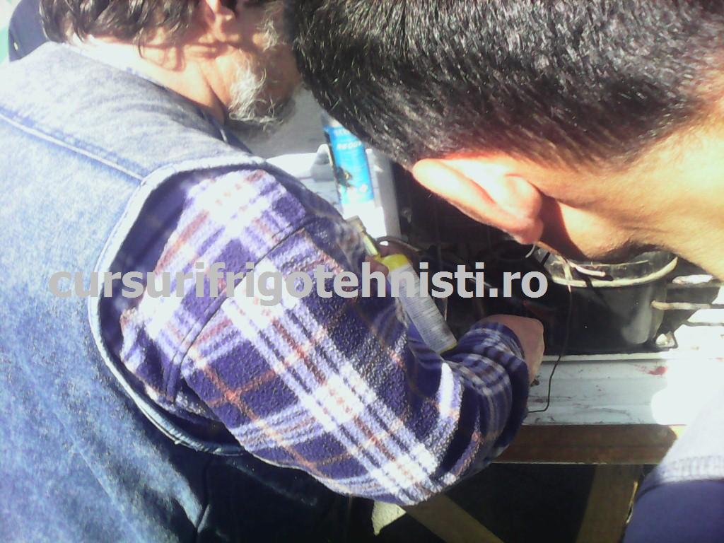 Practica Freon Trading.jpg