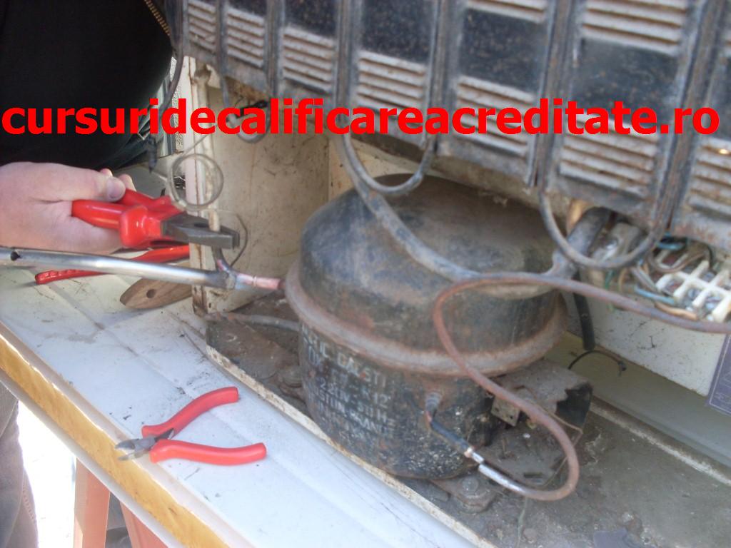 SDC10860 (Custom).JPG