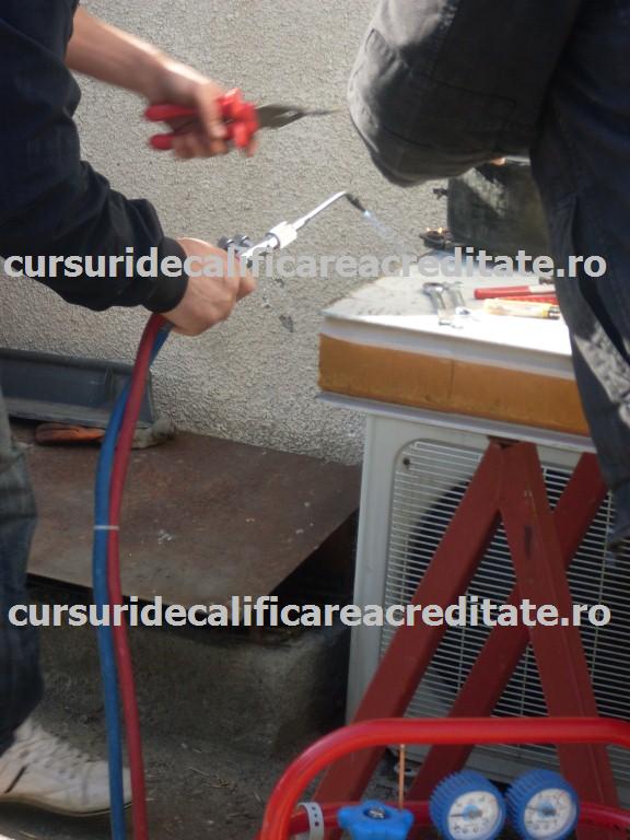 SDC10867 (Custom).JPG