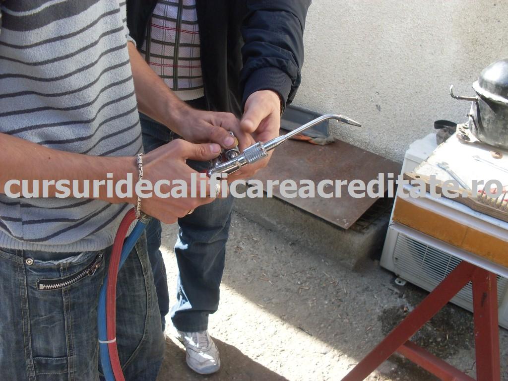 SDC10870 (Custom).JPG