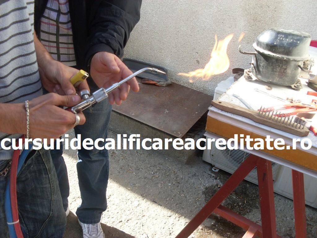 SDC10871 (Custom).JPG