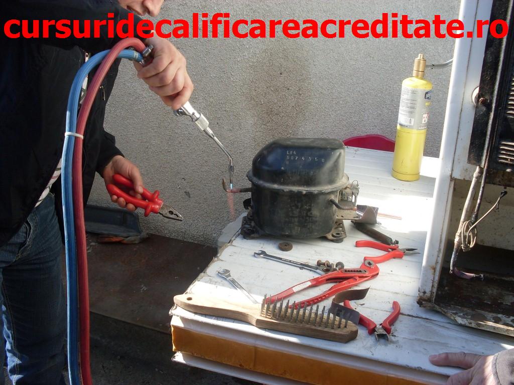 SDC10873 (Custom).JPG