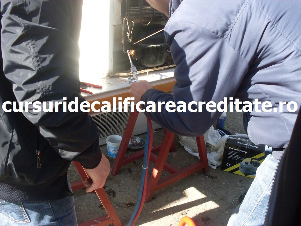 SDC10882 (Custom).JPG