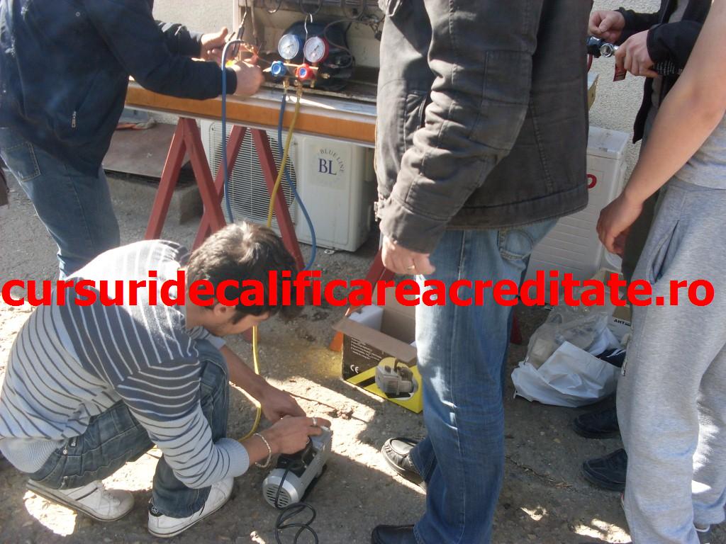 SDC10884 (Custom).JPG