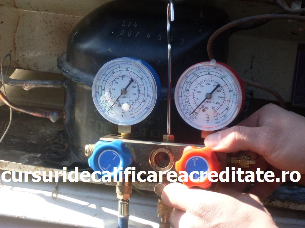 SDC10888 (Custom).JPG