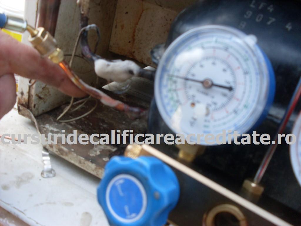 SDC10890 (Custom).JPG