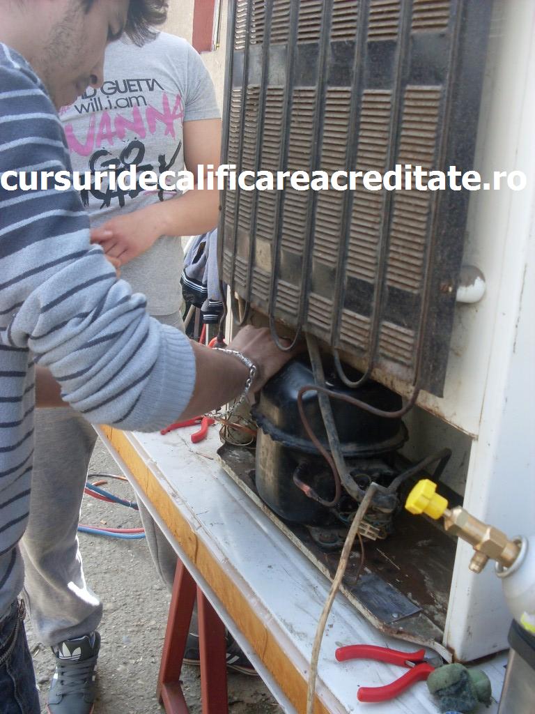 SDC10891 (Custom).JPG