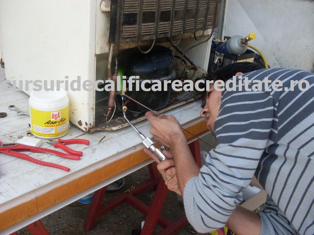 SDC10893 (Custom).JPG