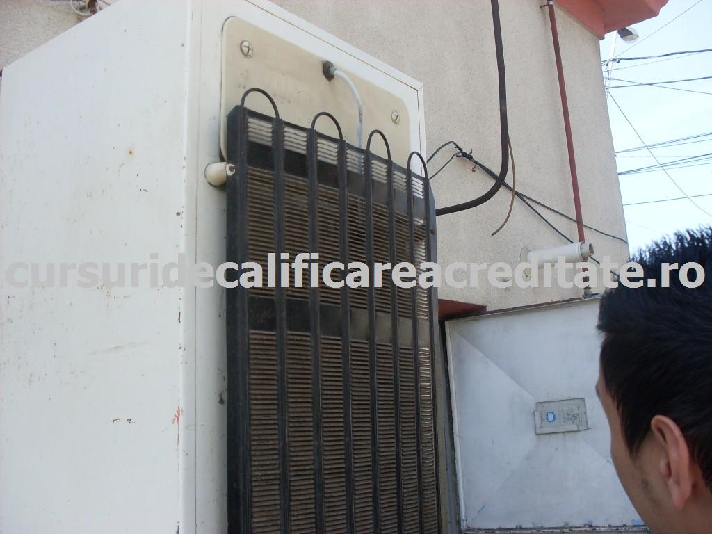 SDC10897 (Custom).JPG