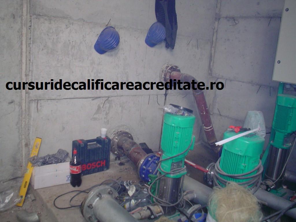 DSC00259 (Custom).JPG