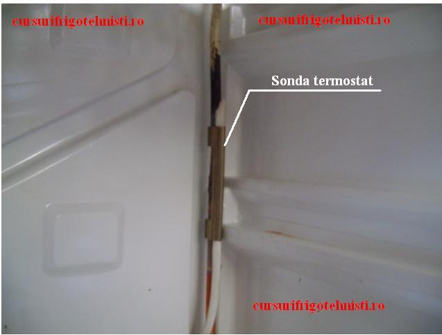sonda termostatului.JPG