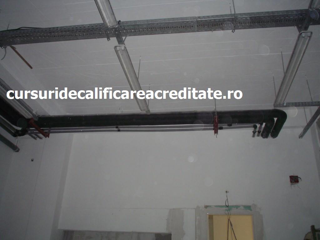 DSC00252 (Custom).JPG