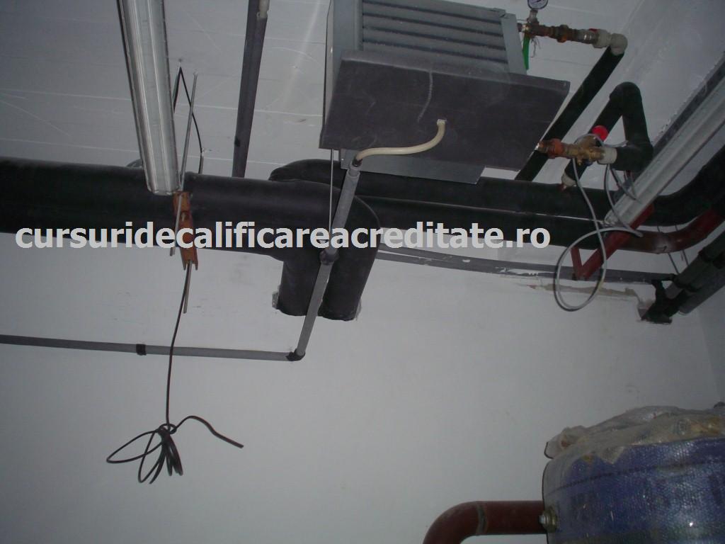 DSC00251 (Custom).JPG