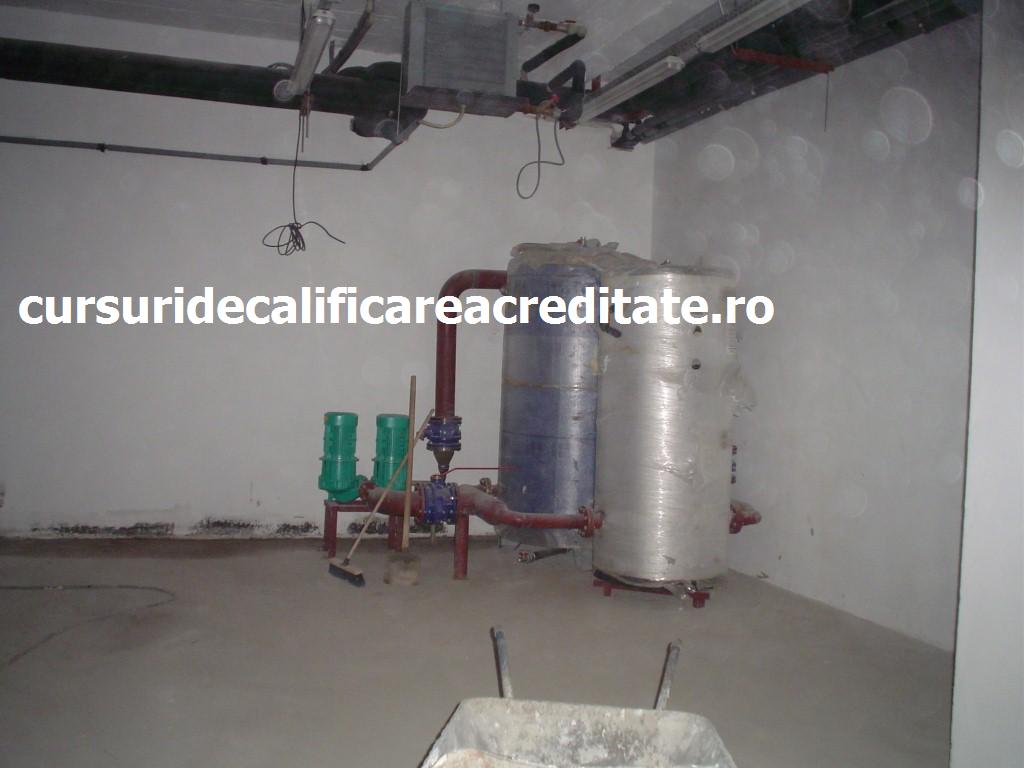 DSC00250 (Custom).JPG