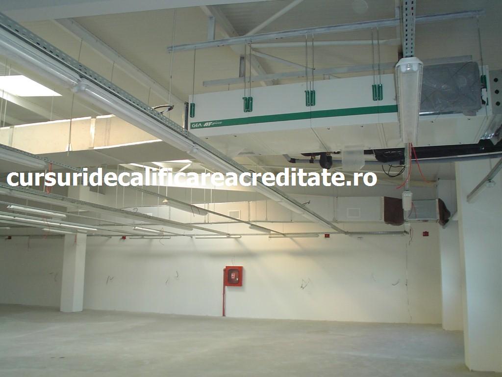 DSC00248 (Custom).JPG