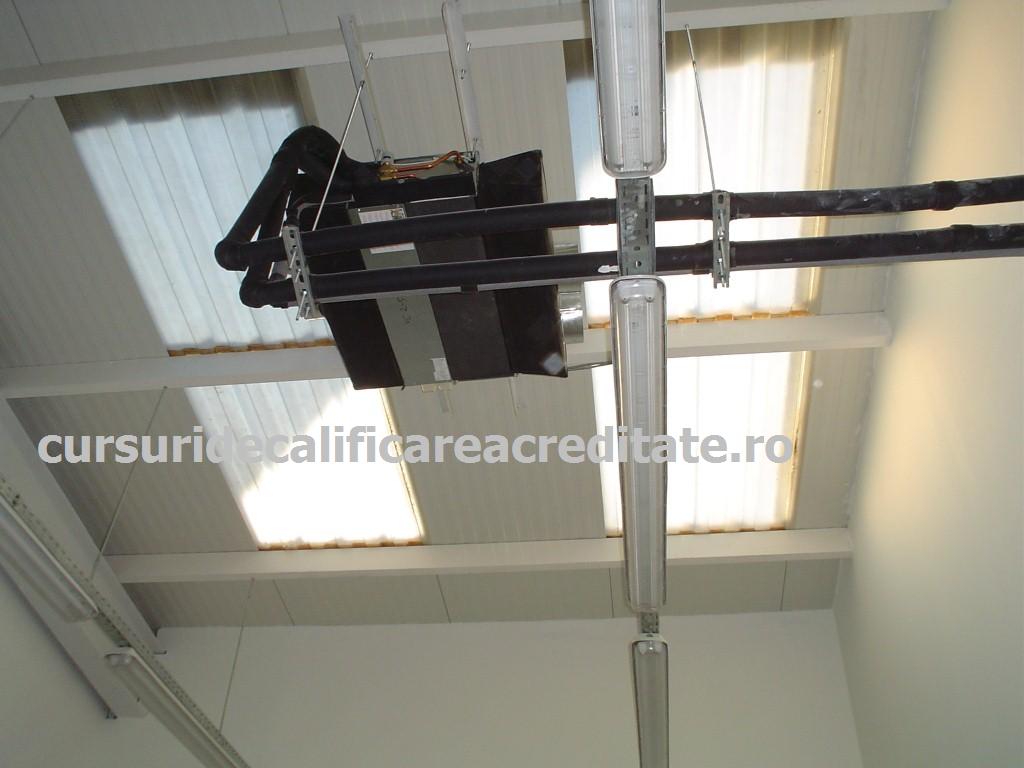 DSC00244 (Custom).JPG