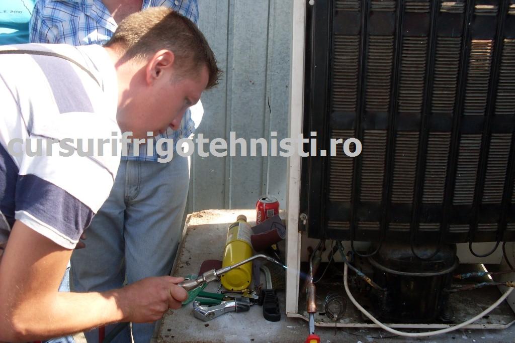 Argintare cu statia.JPG