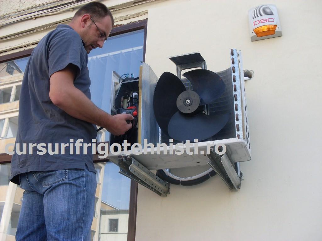 SDC12366 (Custom).JPG