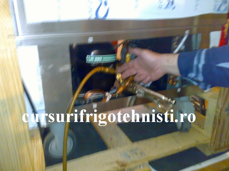 10032012080 (Custom).jpg