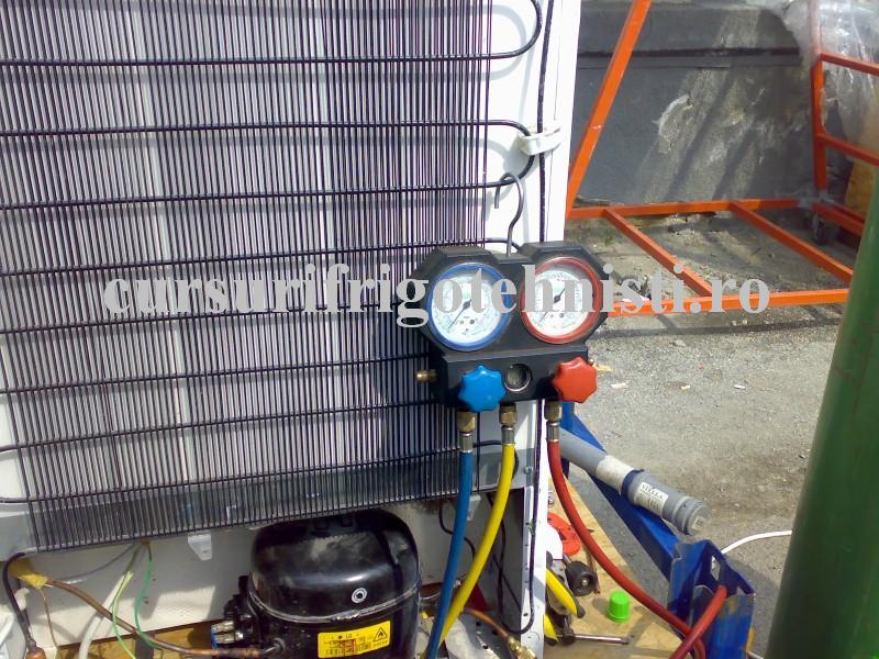 21042013145 (Custom).jpg