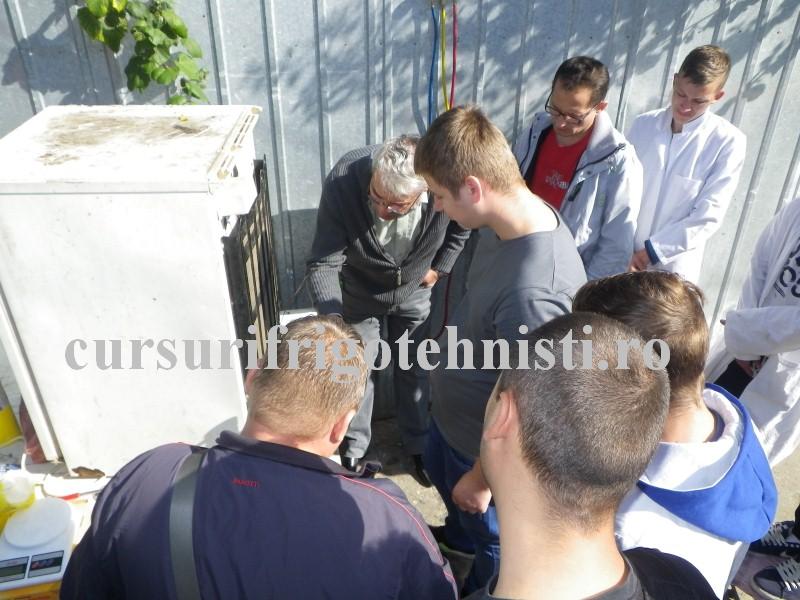 IMGP0485 (Custom).JPG