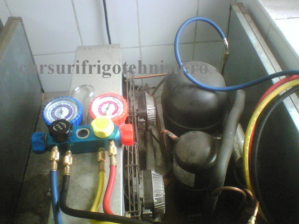 Grup comp Pstatica.jpg