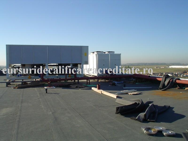 DSC00226 (Custom).JPG