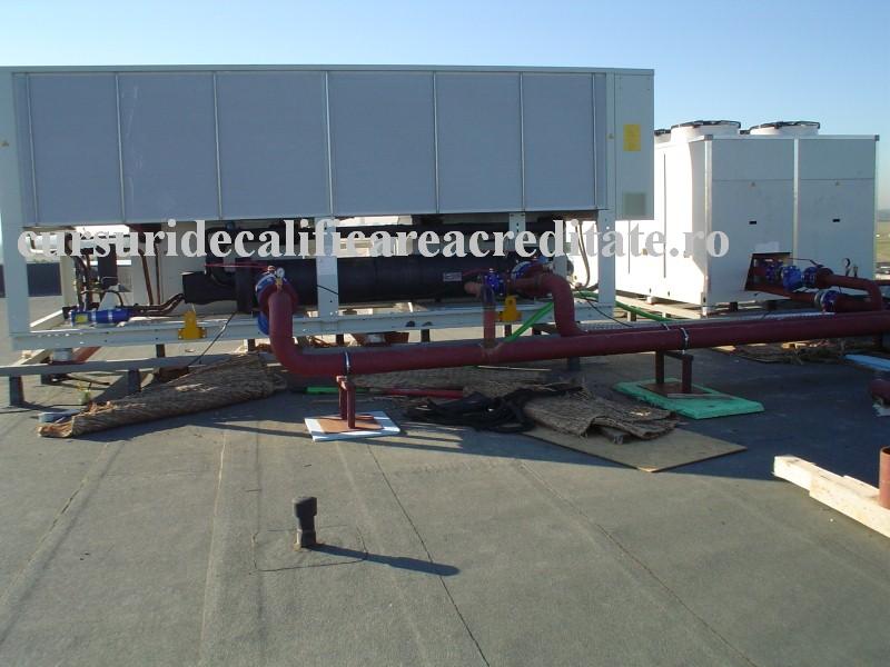 DSC00229 (Custom).JPG