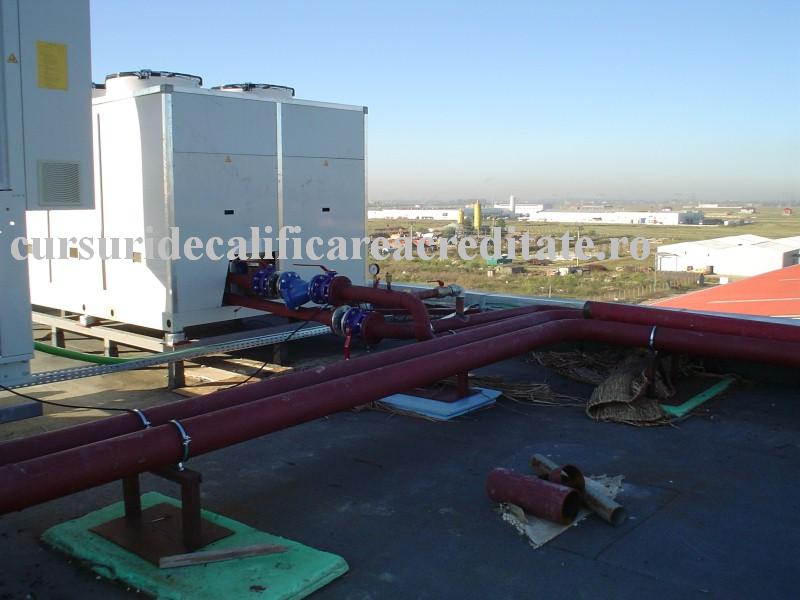 DSC00230 (Custom).JPG