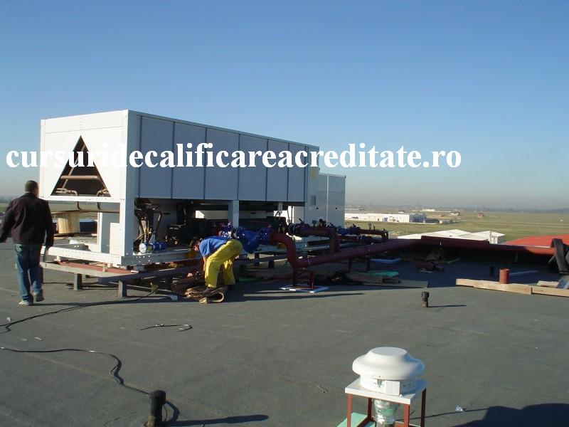 DSC00231 (Custom).JPG