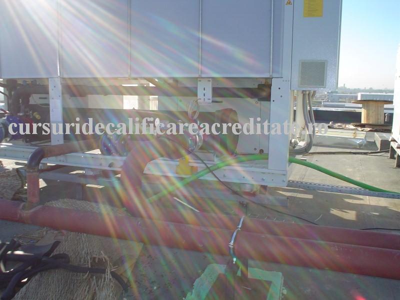 DSC00235 (Custom).JPG